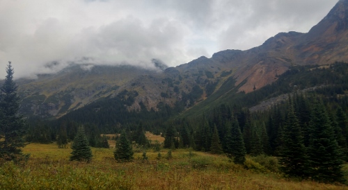 silverking-basin-500x274