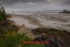 skeena-estuary