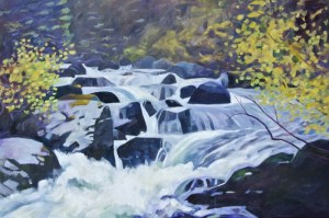 driftwood-creek-in-the-summer-800x533