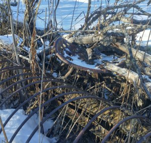 20170204_114351_hdr2_resized