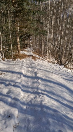 20170204_114616_hdr_resized